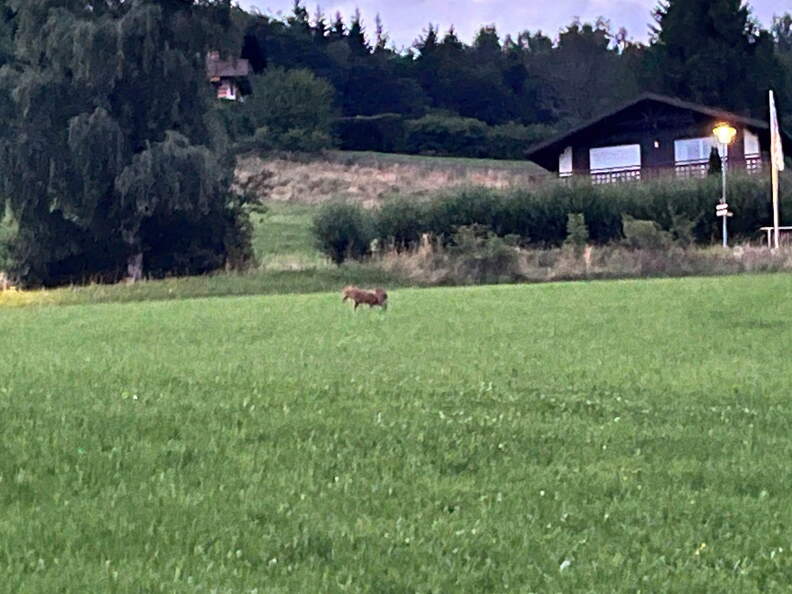 22-07-05 21-46-47 1435